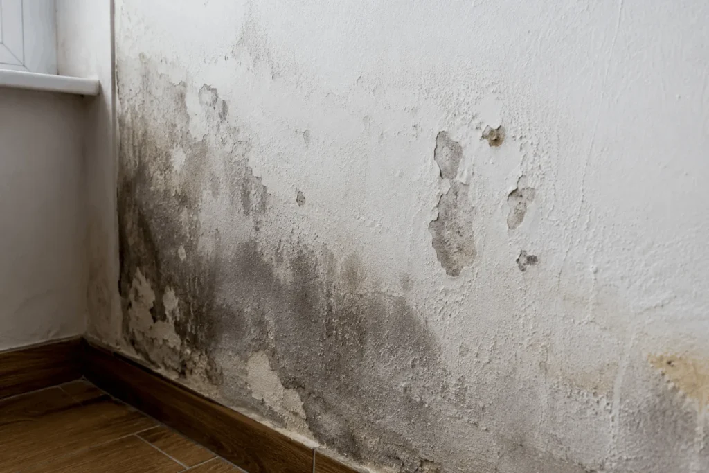 repararea fisurilor din beton si oprirea infiltratiilor de apa
